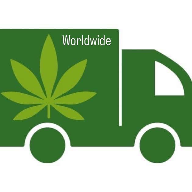 International cannabis logistics