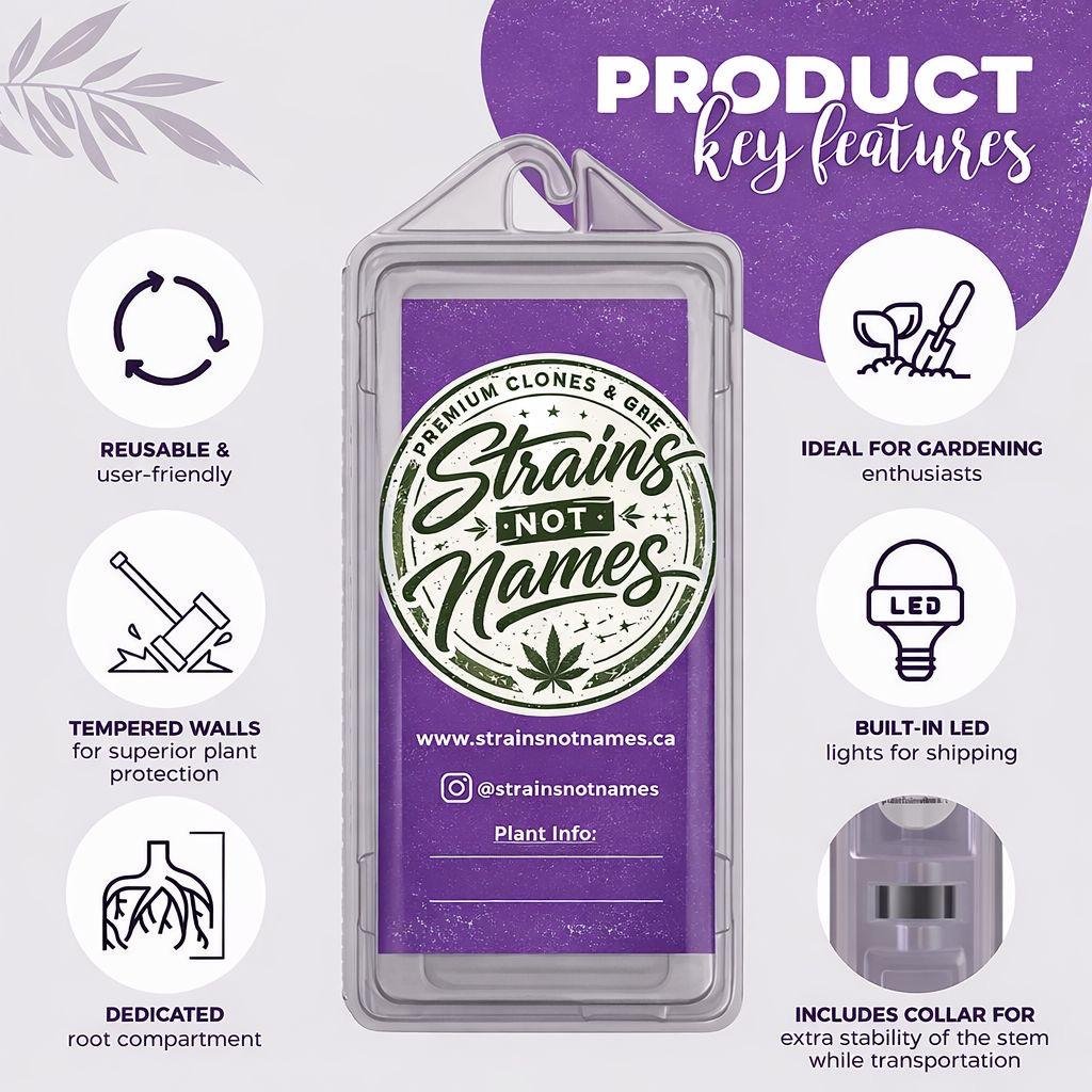 CBD product packaging
