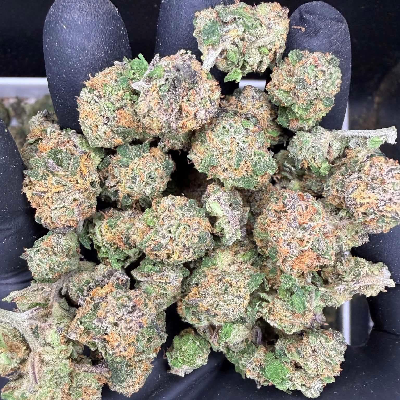 Premium cannabis flower