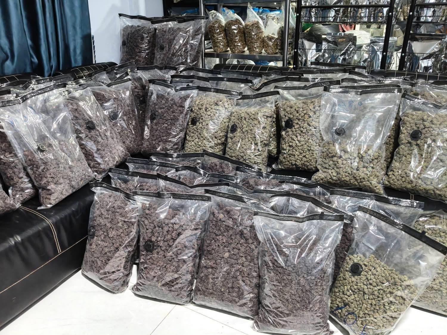 Bulk cannabis shipment